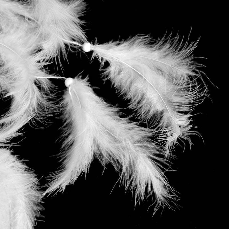 Wedding Decoration Feathers